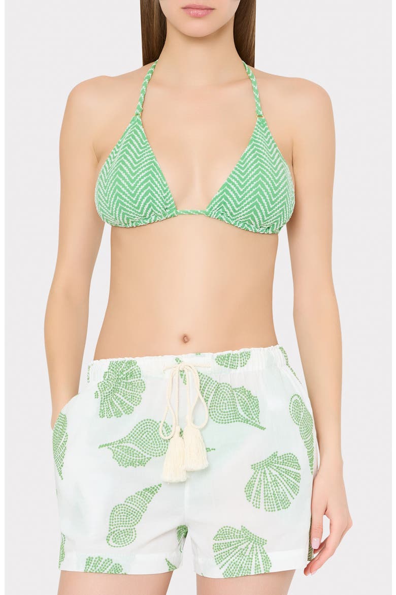 Corried Embroidered Tie Waist Shorts, Alternate, color, WHITE/ GREEN