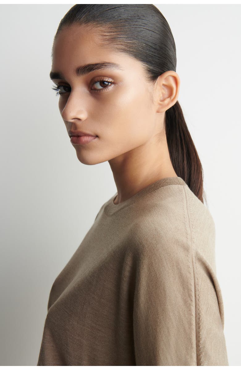 COS Knitted Merino Wool T-Shirt, Alternate, color, Light-Brown Mélange