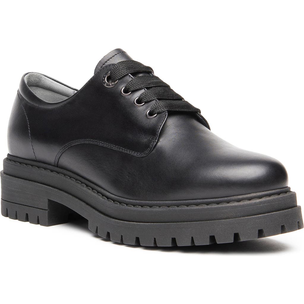 Nerogiardini Lug Sole Derby In Black
