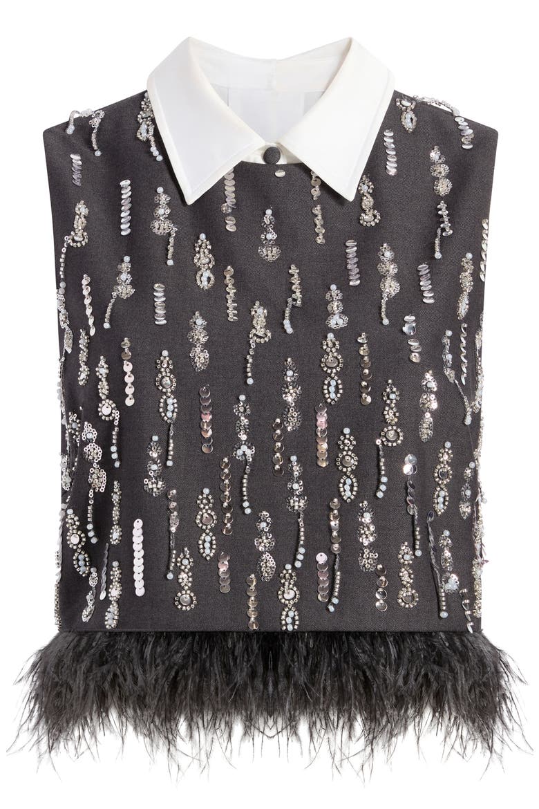 Selene Embellished Feather Top, Alternate, color, CHARCOAL MULTI