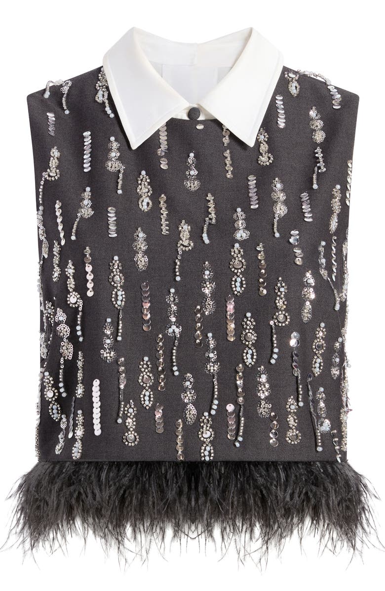 Cinq à Sept Selene Embellished Feather Top, Alternate, color, Charcoal Multi