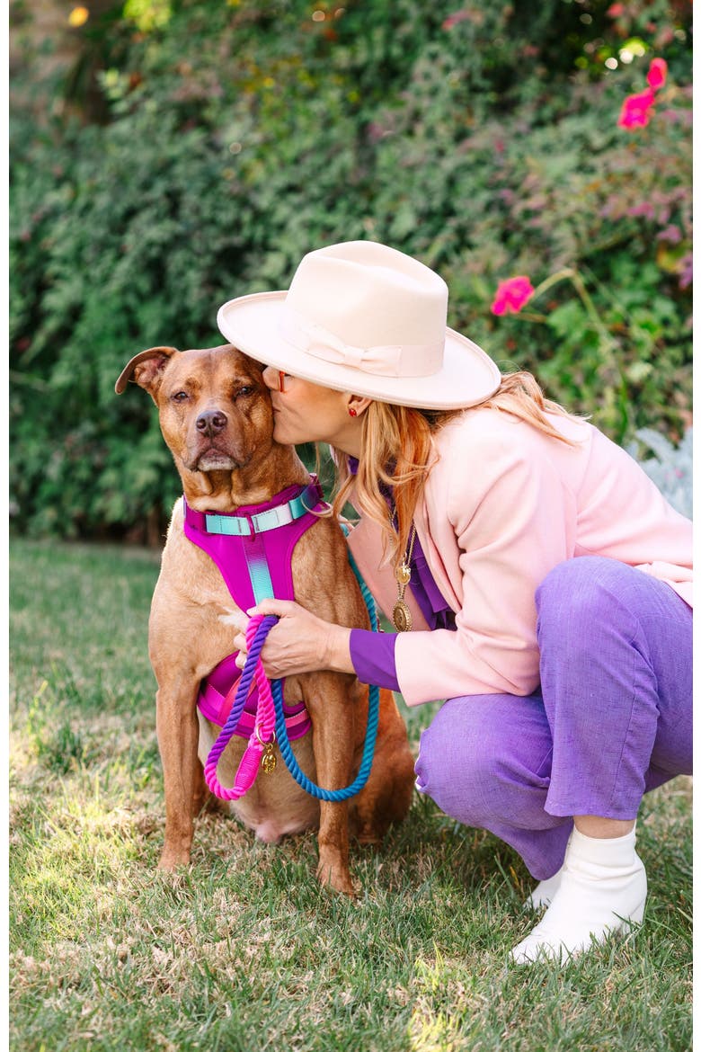 Joana Dog Harness, Alternate, color, Joana