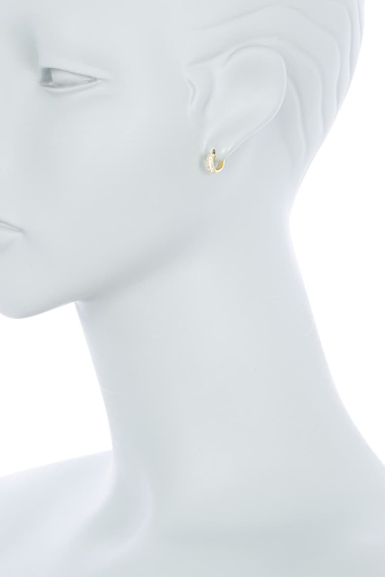 Double Row Pave CZ 10mm Huggie Hoop Earrings, Alternate, color, CLEAR- GOLD