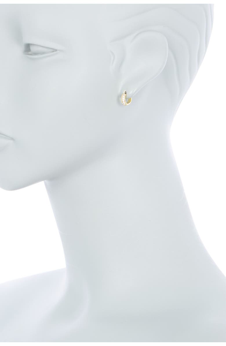 NORDSTROM RACK Double Row Pave CZ 10mm Huggie Hoop Earrings, Alternate, color, Clear- Gold