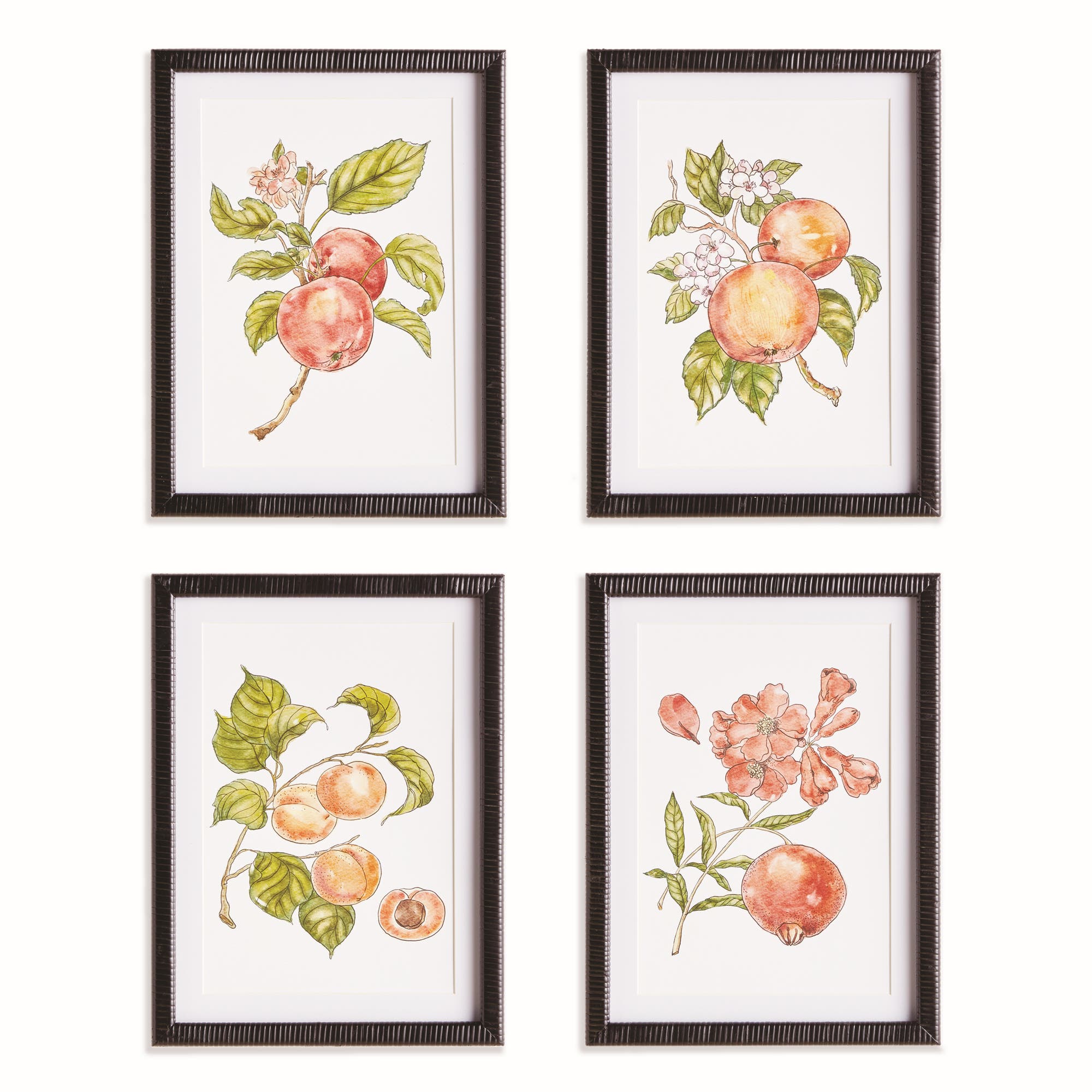 Napa Home & Garden Autumnal Fruit Prints, Set Of 4 In Pink