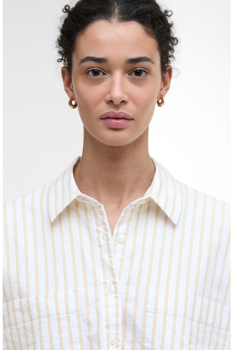 Lavensdale Cotton Oxford Shirt, Alternate, color, PALE CAMEL STRIPE
