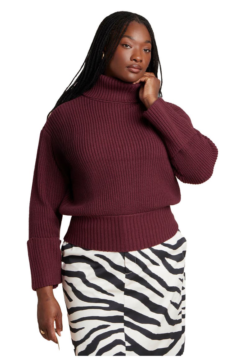 Cuffed Turtleneck Sweater, Alternate, color, TAWNY PORT