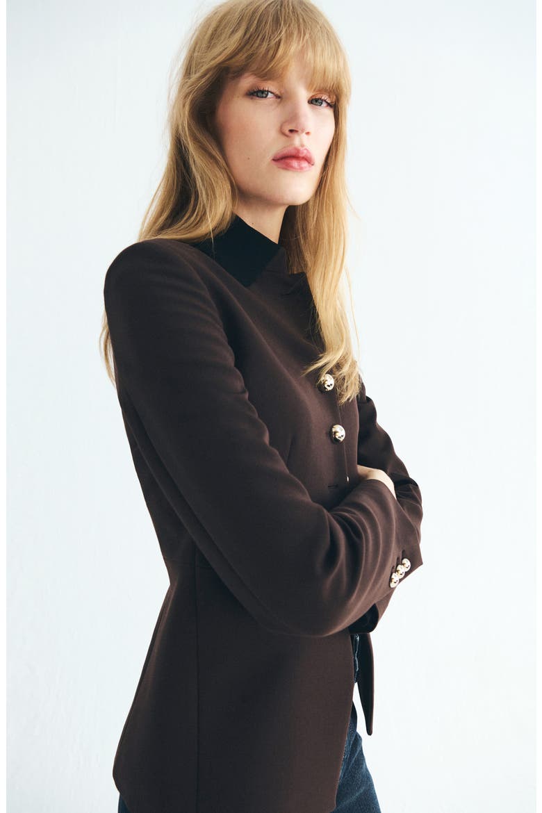 Button Front Jacket, Alternate, color, BROWN