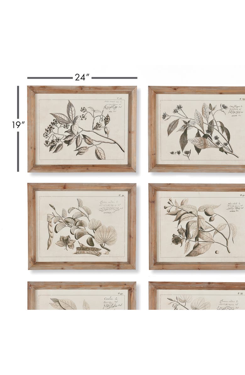 Napa Home & Garden Fruit Bearing Branch Illustrations Set of 6, Alternate, color, Grey