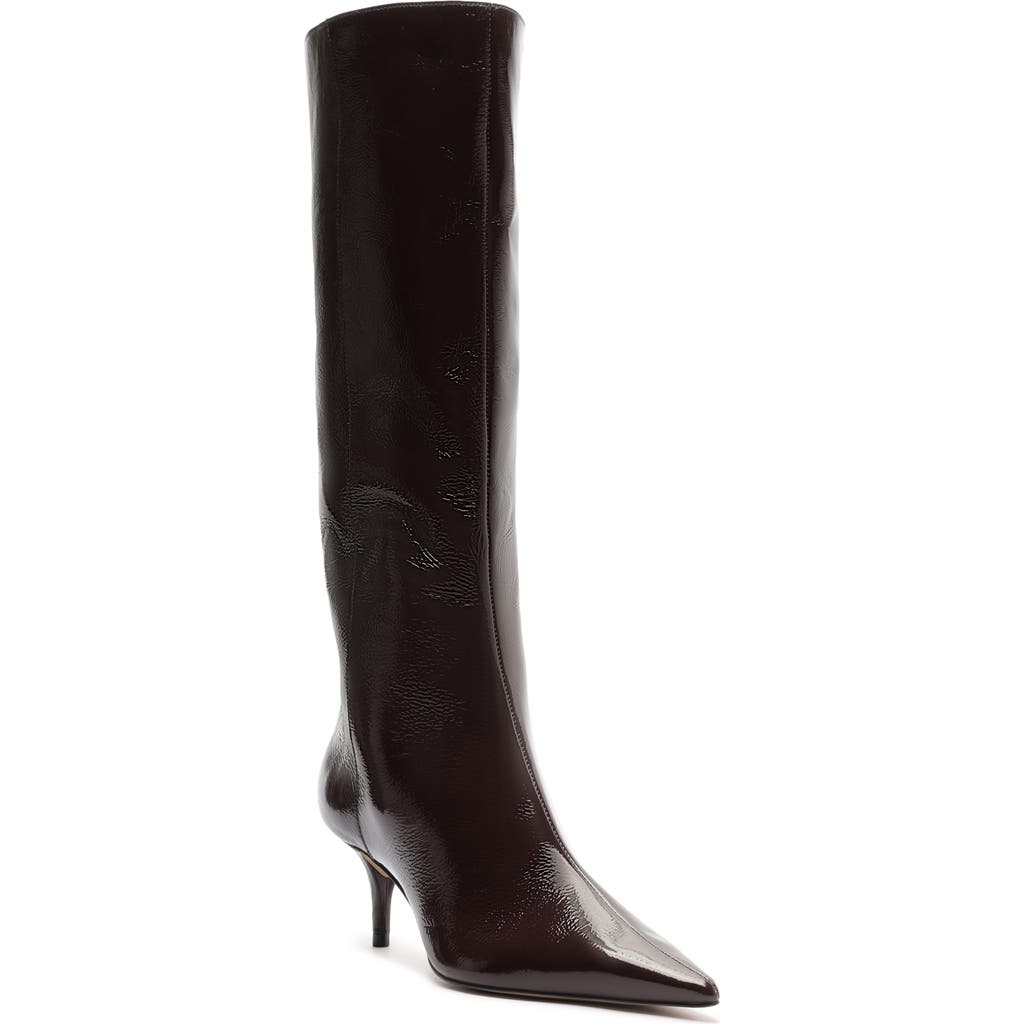 Arezzo Sasha Pointed Toe Knee High Boot In Multi