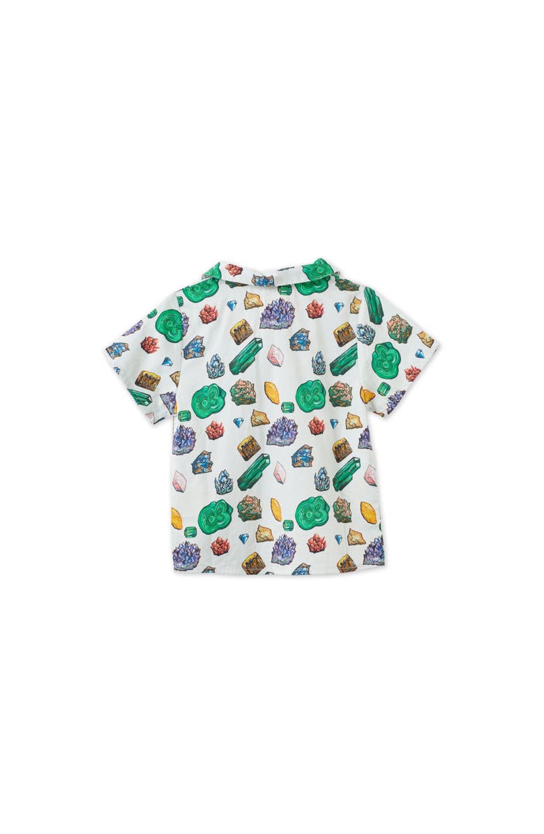 Vild House of Little Vild Lab No.12 - Earth Rocks!, Organic Cotton Woven Collared Shirt, Main, color, Green