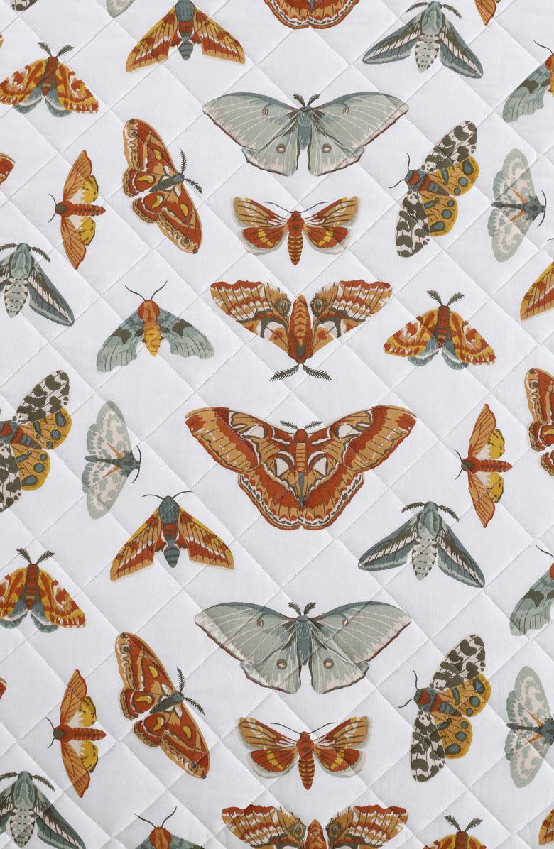 Eddie Bauer Wilford Butterfly Cotton Full Quilt & Sham Set, Alternate, color, Natural