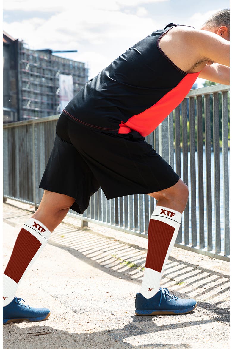 Pack of 6 Compression Knee High Socks, Alternate, color, ASSORTED