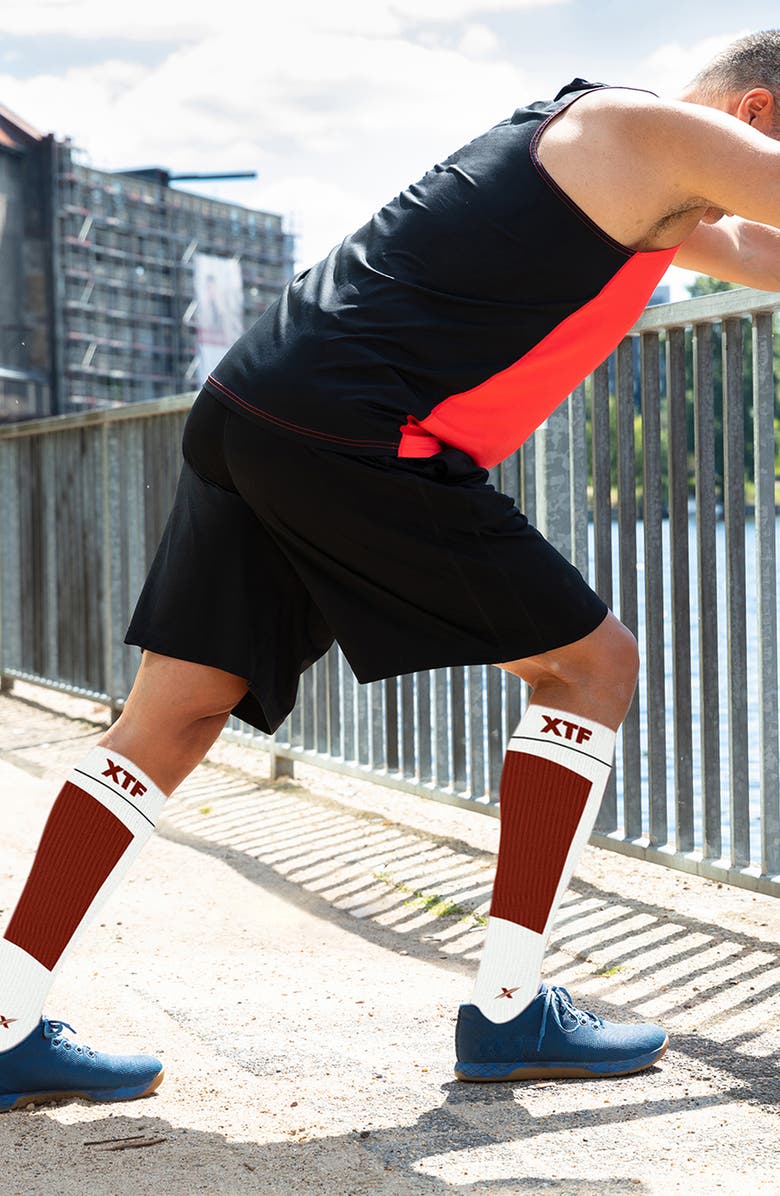 EXTREME FIT Pack of 6 Compression Knee High Socks, Alternate, color, Assorted