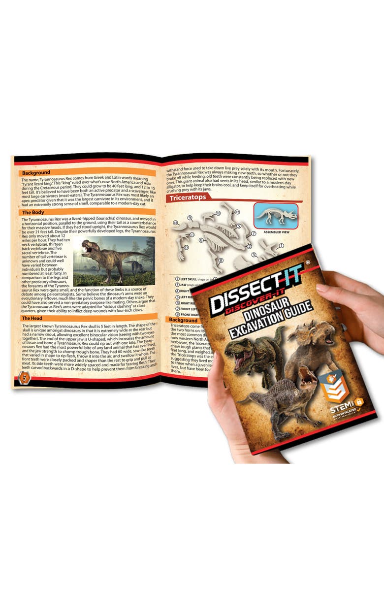 Dissect-It Top Secret Toys Dissectit Dino Dig, Science Kit, Ages 6+, Alternate, color, Multicolored