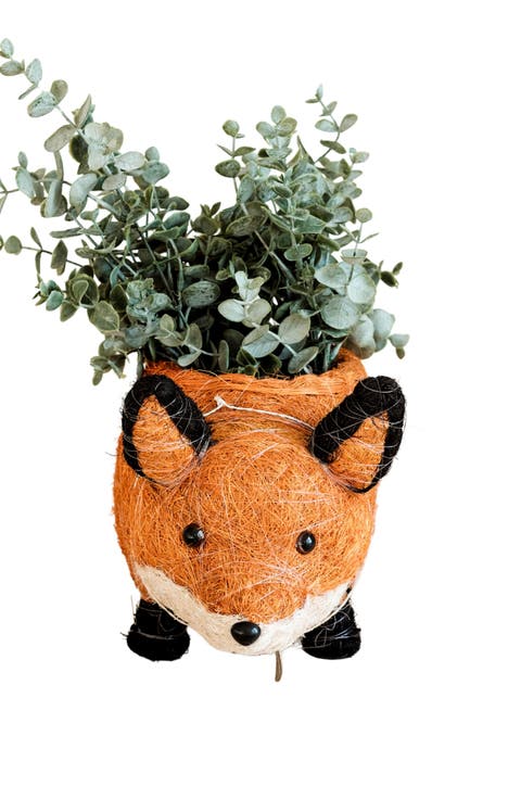 Woodland Animal Coco Coir Planters