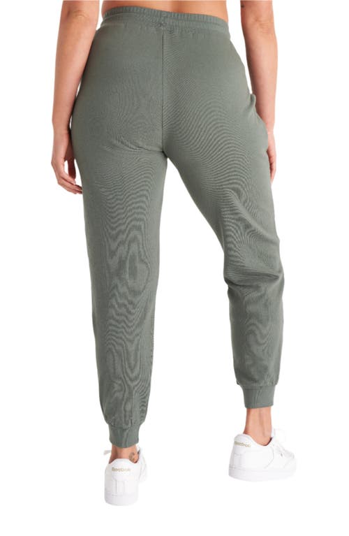 The Standard Stitch The Everyday Jogger In Thyme