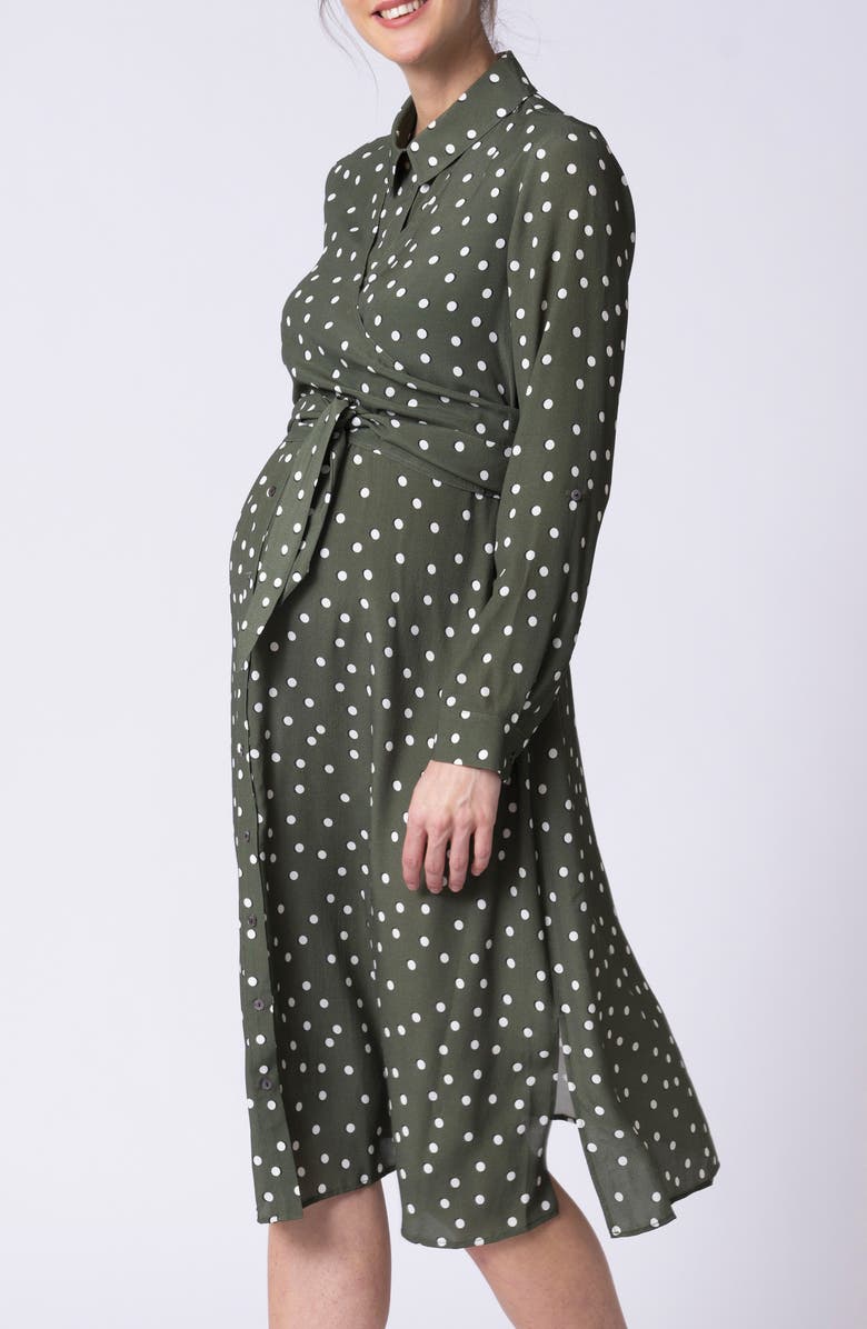 Seraphine Polka Dot Long Sleeve Maternity/Nursing Shirtdress, Alternate, color, 