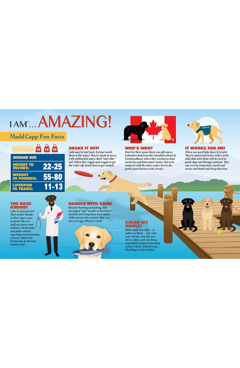 Madd Capp I Am Lab 550 Piece Dog Shaped Jigsaw Puzzle, Alternate, color, 