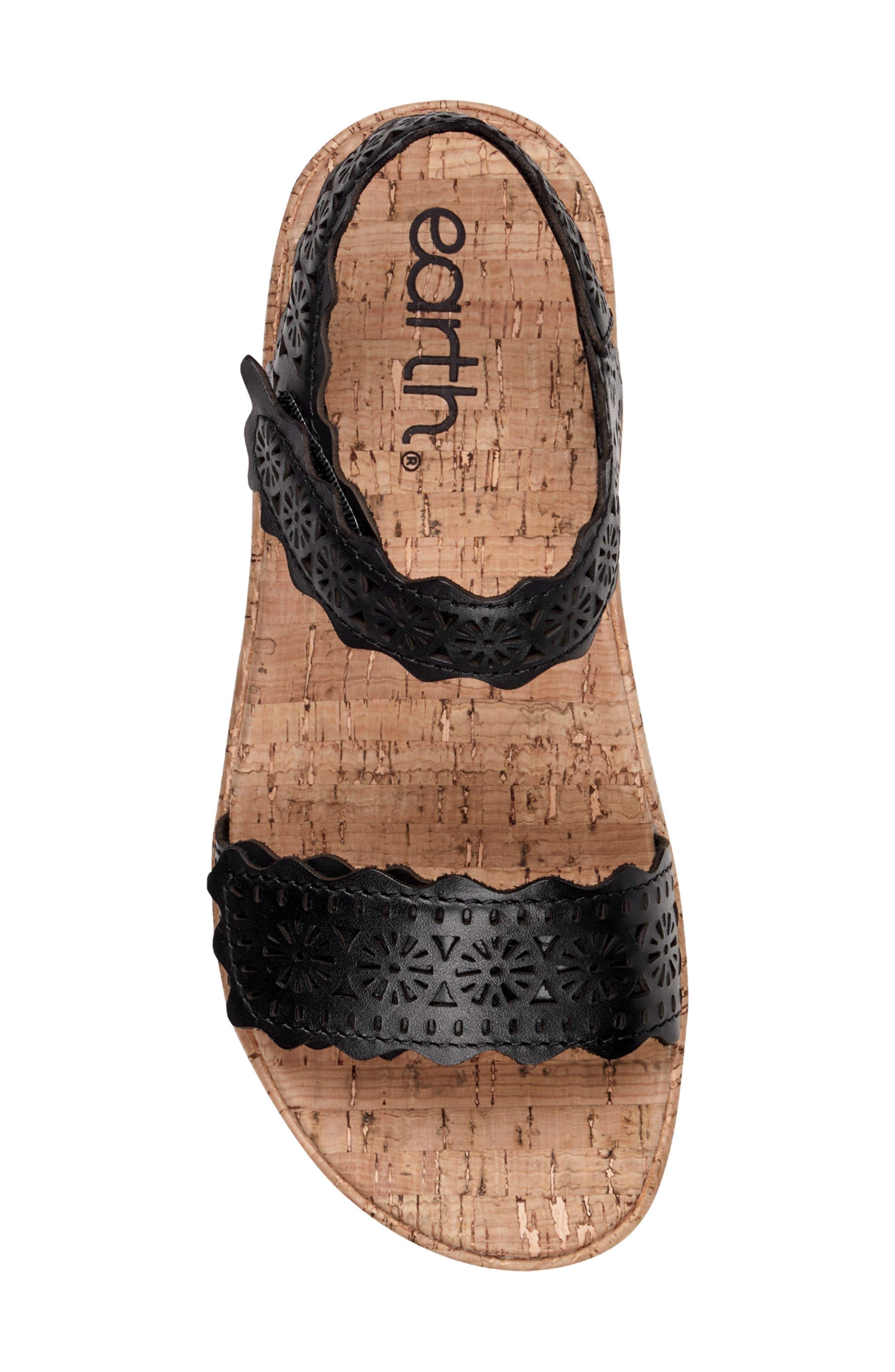 Earth<sup>®</sup> Slata Ankle Strap Platform Sandal, Alternate, color, Black