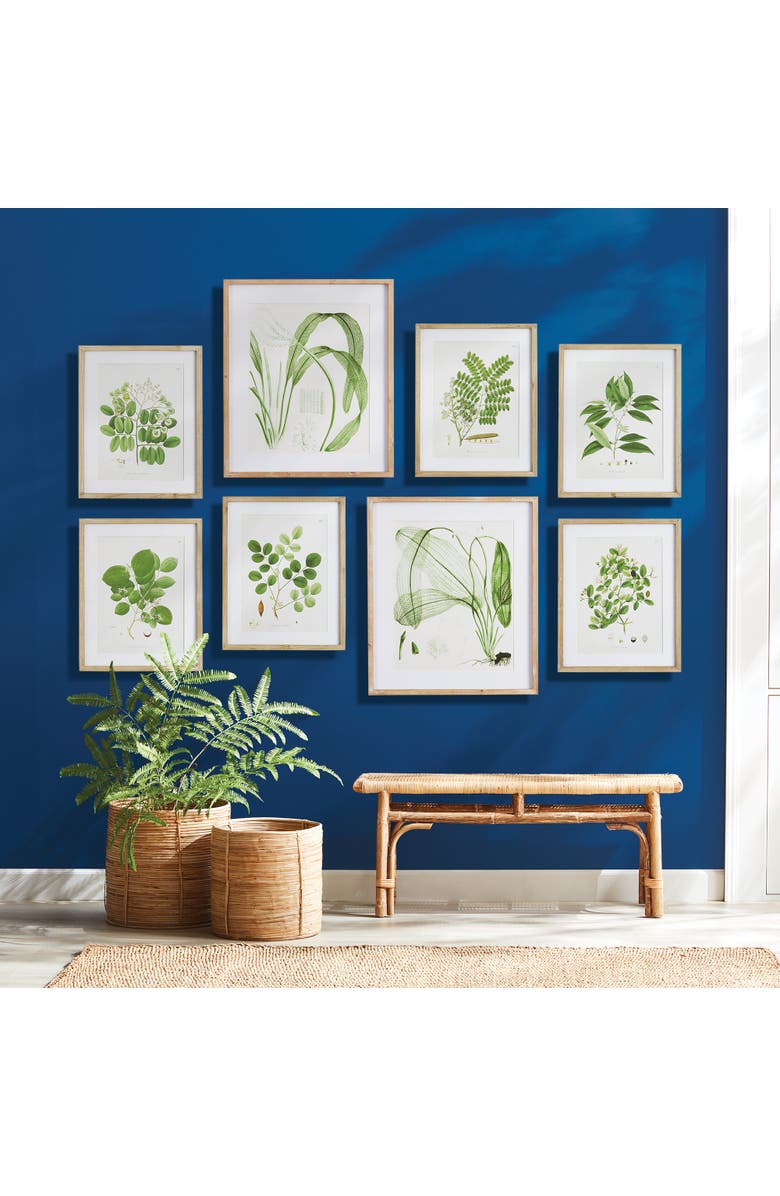 Napa Home & Garden Aquatic Leaf Prints, Set Of 2, Alternate, color, Green