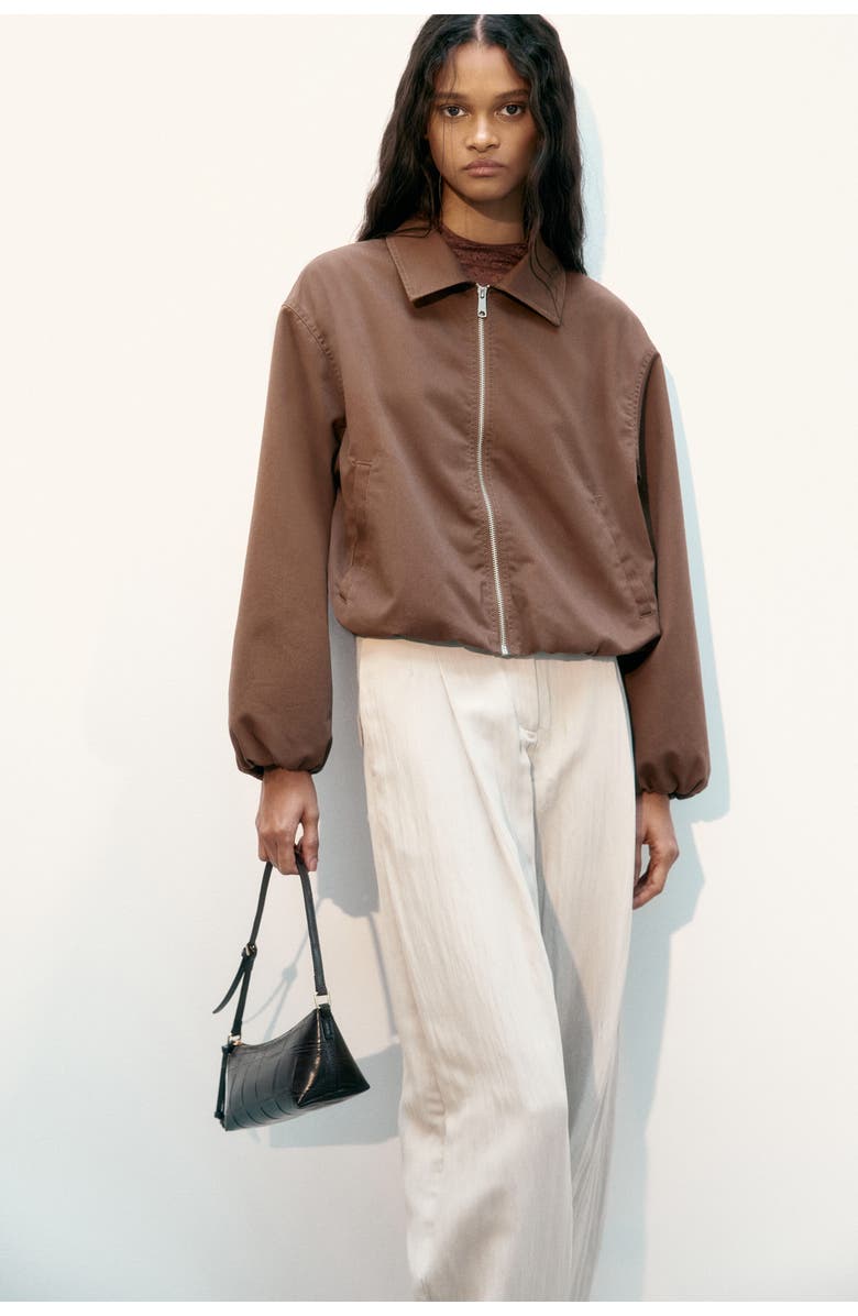 H&M Blouson Jacket, Alternate, color, Dark Brown