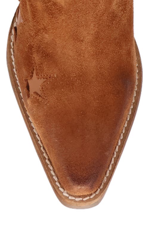 Dingo Little Star Western Boot In Brown