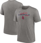 Nike Men's Nike Heather Charcoal St. Louis Cardinals We Are All Tri-Blend T-Shirt