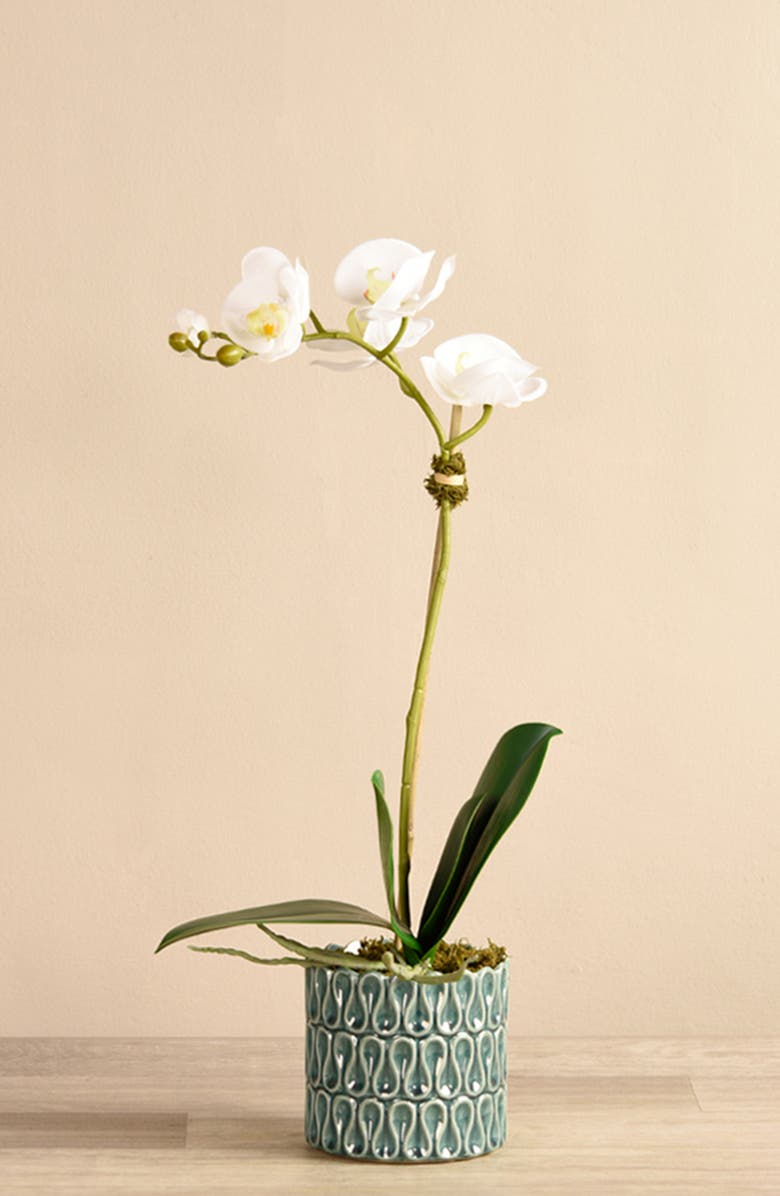 Bloomr Casual Orchid Planter Decoration, Alternate, color,