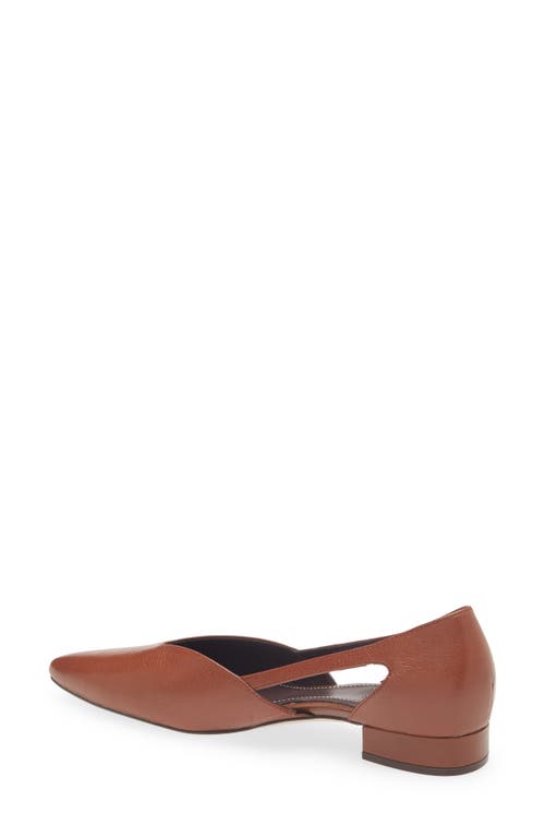 27 Edit Naturalizer Sydney Pointed Toe Flat In Brown