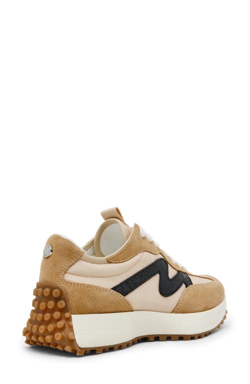 Steve Madden Campo Sneaker In Tan/black