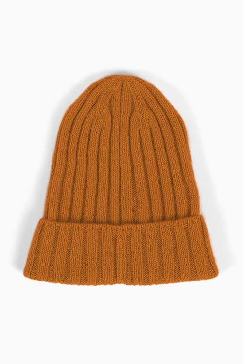 Sskein Ribbed Beanie In Ochre