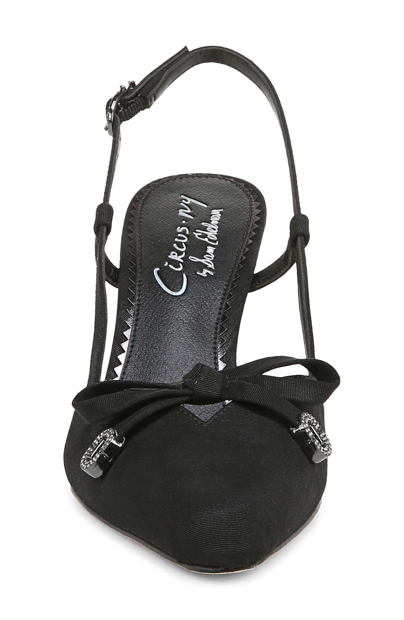 Circus NY by Sam Edelman Monica Pointed Toe Slingback Pump, Alternate, color, Black
