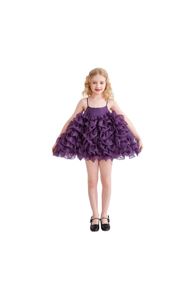 Tulleen Vionara Ruffle Dress, Main, color, Purple
