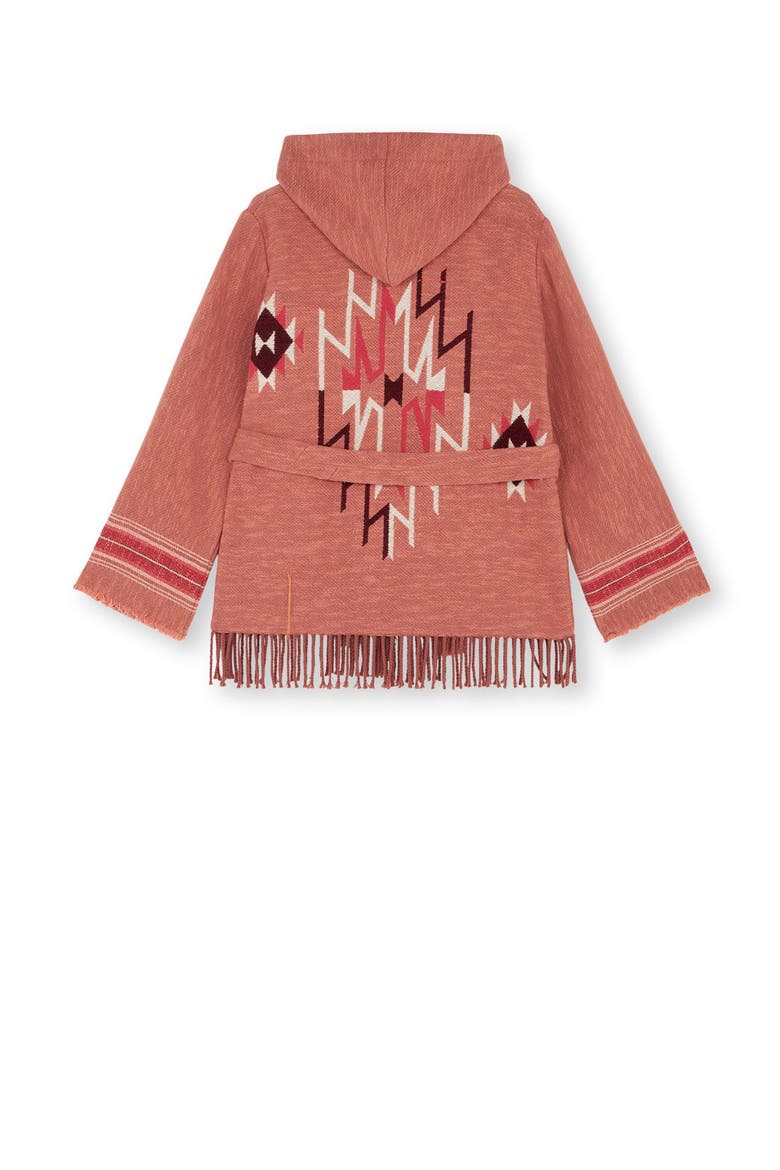 Navajo Pattern Hooded Jacket, Alternate, color, Multicolor