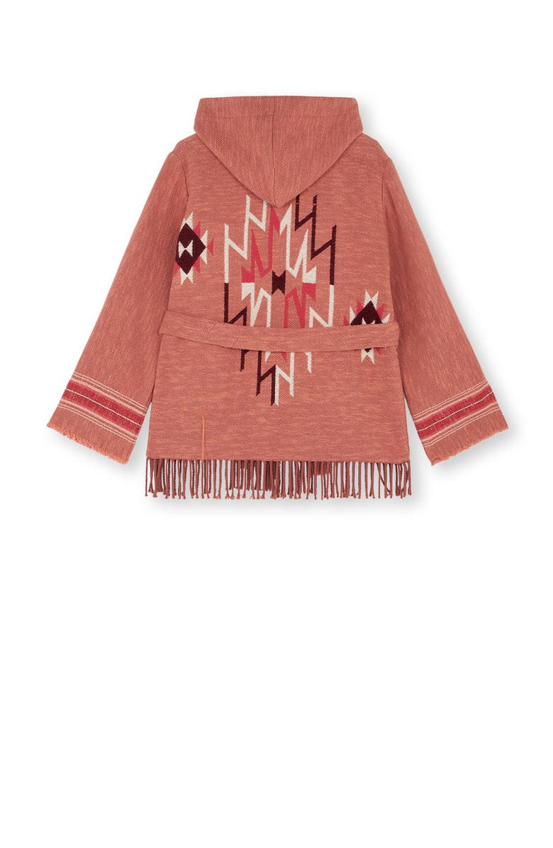 Fortela Navajo Pattern Hooded Jacket, Alternate, color, Multicolor