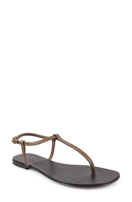 Artisan Crafted By Zigi Ankle Strap Sandal In Brown