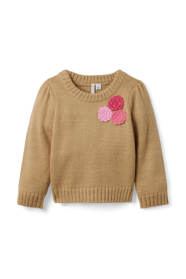 Floral Applique Sweater, Main, color, Beige