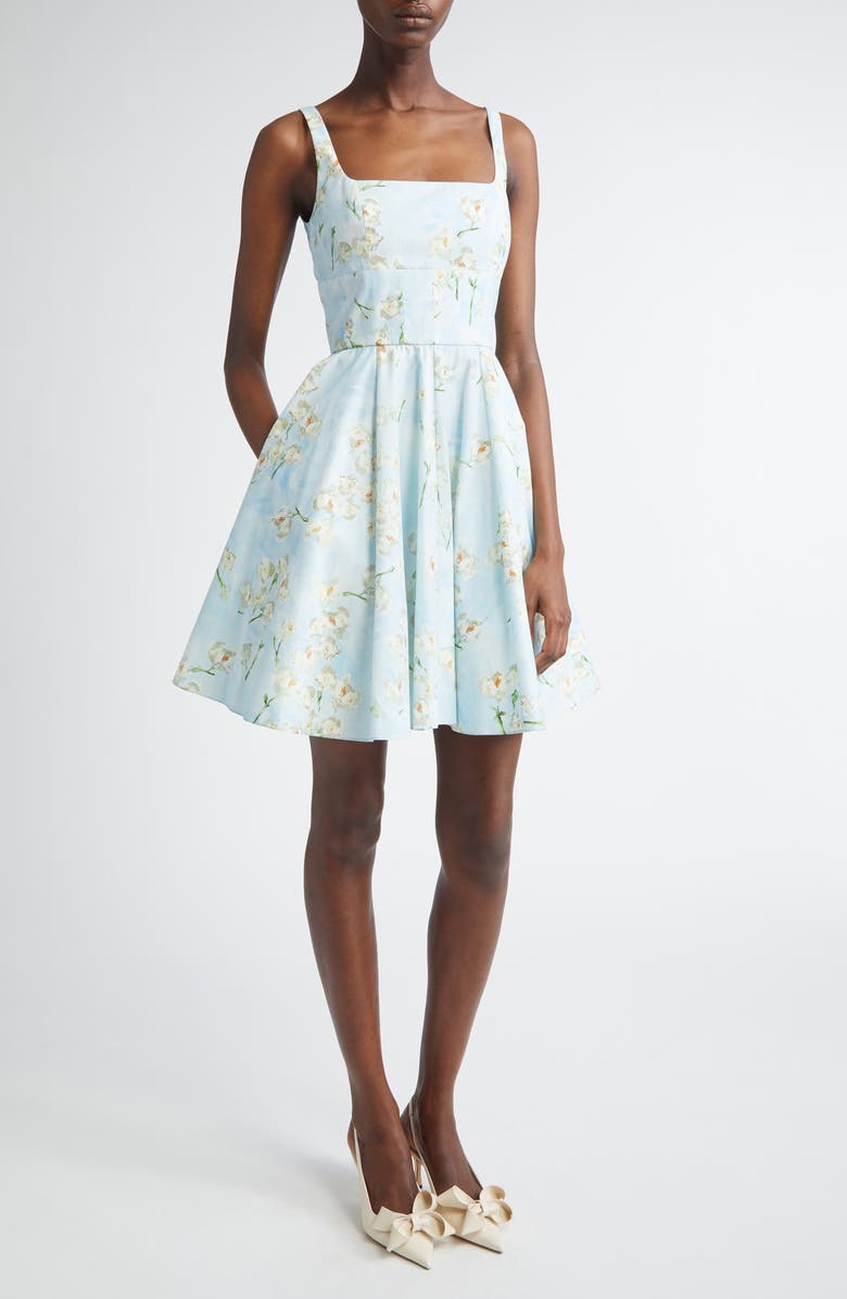 Emilia Wickstead Mona Floral Cotton Sundress, Alternate, color, Little Lillies On Blue