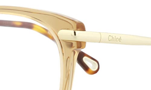 Chloé Core 53mm Cat Eye Optical Glasses In Brown Gold Transparent