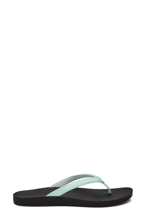 Olukai Puawe Flip Flop In Multi