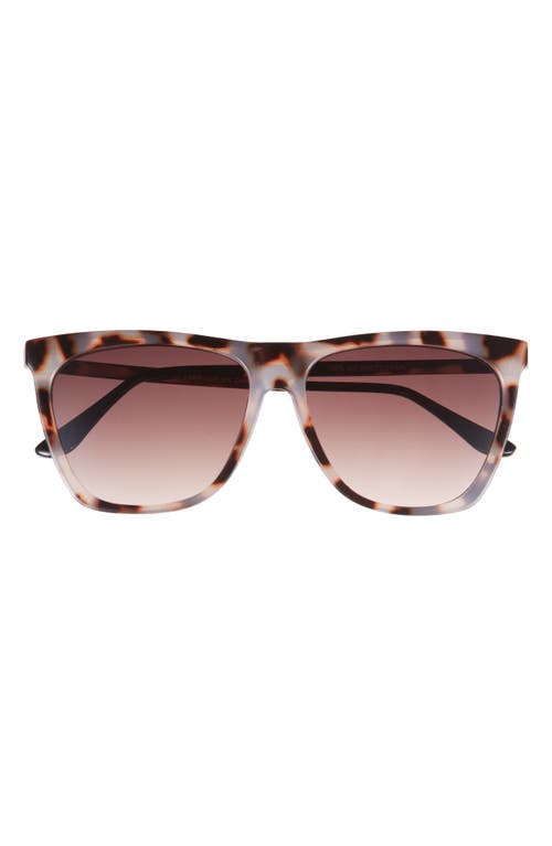 Bp. Oversize Cateye Sunglasses In Tortoise