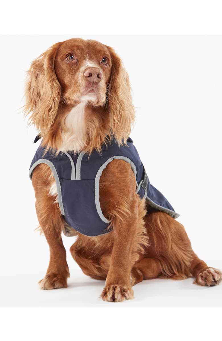 Barbour Monmouth Waterproof Dog Coat, Alternate, color, 