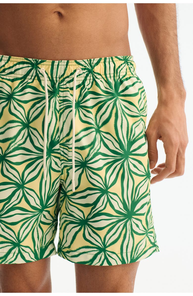 H&M Patterned Swim Shorts, Alternate, color, Green/Patterned