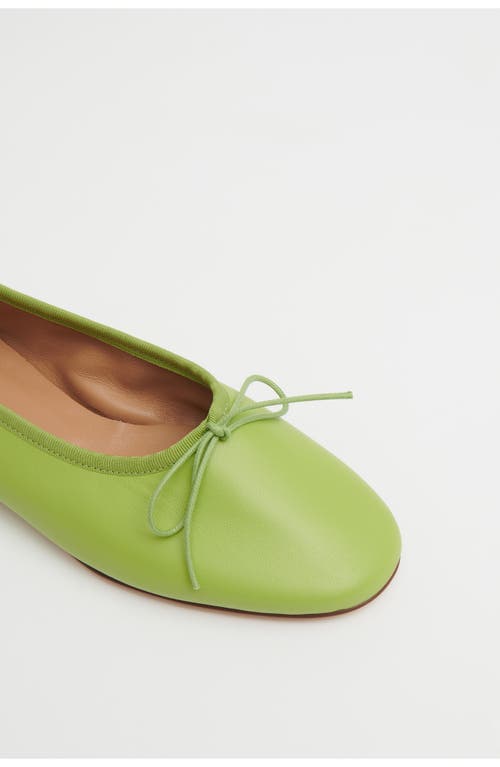 Shop Mansur Gavriel Dream Ballerina Flat In Fern