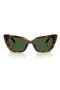  Havana / Dark Green