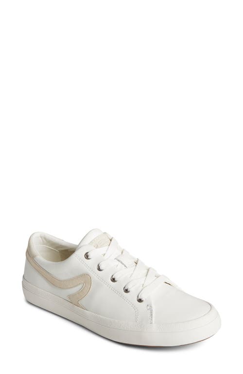 Sperry Sandy Wave Sneaker in White 