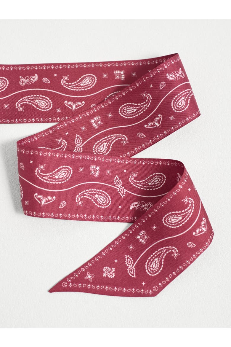 "Paisley" Silk Twill Skinny Scarf, Alternate, color, Rodeo Red