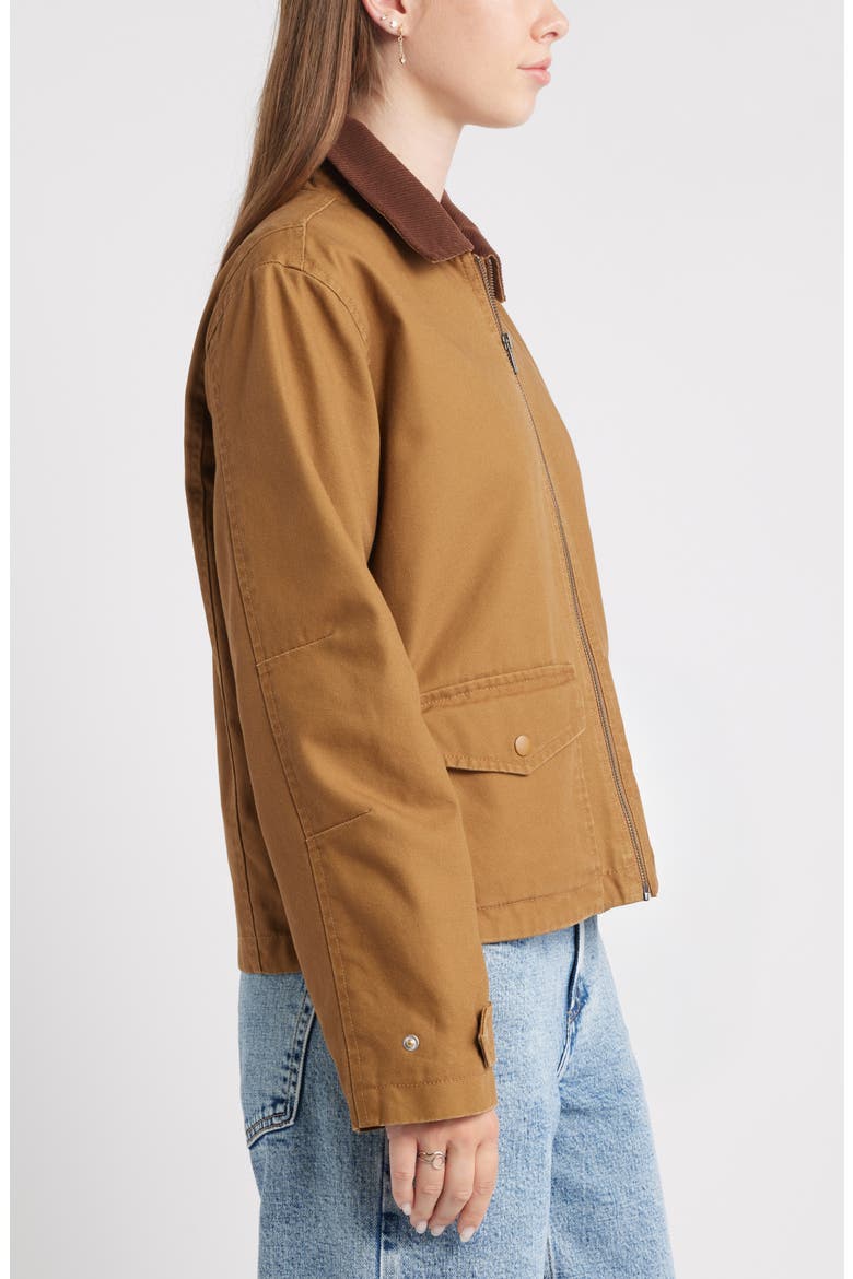 Cotton Canvas Barn Jacket, Alternate, color, TAUPE