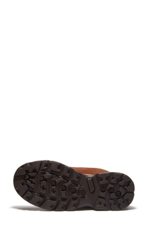 Timberland White Ledge Waterproof Mid Hiking Boot In Multi